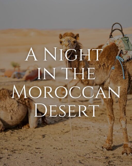 A Night in the Moroccan Desert: Le Bédouin Agafay 
 
For many travelers, the 8-hour trek to the Sahara is a logistical dealbreaker. Le Bédouin Agafay is the solution. Located just 19 miles from Marrakech, this boutique camp offers a high-impact landscape shift in under 45 minutes—perfect for a high-end one-night extension.
 
The Property Deep-Dive:

▪️The Accommodations: These are permanent, fixed canvas units designed for comfort. For your most discerning VIPs, select units now feature private pools, offering total seclusion and a cool respite in the heart of the stone desert.
Elevated Comfort: Higher-tier categories include full climate control and proper en-suite bathrooms with modern plumbing—essential for meeting North American luxury standards.

▪️Resort Infrastructure: In addition to private options, the camp features multiple shared infinity-style pools and tiered sun terraces, creating a “desert resort” atmosphere rather than a basic campsite.

▪️Adventure on Demand: Quad biking, camel trekking, and guided desert walks all launch directly from the property, making the “Moroccan bucket list” entirely turn-key for your clients.
 
 Advisor Strategy:

▪️The “Private Pool” Upsell: Use the private pool units as your lead-in for honeymooners or high-net-worth clients who prioritize total privacy and “Instagrammable” luxury.

▪️The Logistical Win: Highlight the direct road access. Because there is no grueling off-road transfer required, this is an easy sell for multi-generational families or travelers who want the desert aesthetic without the physical toll of the deep Sahara.

▪️The “Adventure Reset”: Position this as a one-night mid-trip break. It provides a cinematic, lunar-like backdrop for sundowners before returning to a Marrakech riad or heading to the airport.
 
 
In partnership with @attendancemice / @lebedouinagafay 
 
 
#MoroccoTravel #AgafayDesert #LuxuryTravel #TravelAdvisors #PrivatePool