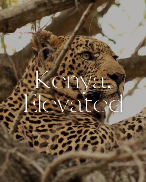 Kenya, Elevated 🇰🇪
For clients looking for more than a traditional safari, Kenya delivers an incredible combination of wildlife, luxury and experience.
Think some of Africa’s most celebrated luxury lodges and tented camps, exceptional game viewing including the Big Five and Great Migration, and experiences that go well beyond the game drive — hot-air ballooning, walking safaris, Maasai culture and bush dining.
For an even broader journey, combine the Maasai Mara with Kenya’s Indian Ocean coastline for the ultimate bush-and-beach escape.
And for clients seeking something truly tailored, Kenya lends itself beautifully to fly-in safaris, private conservancies and bespoke journeys designed around how they want to travel.
Created in partnership with @beyondtheplainssafaris
#Kenya #LuxurySafari #KenyaSafari #TravelAdvisors #LuxuryTravel
📷 @katie.wheelhousetravel